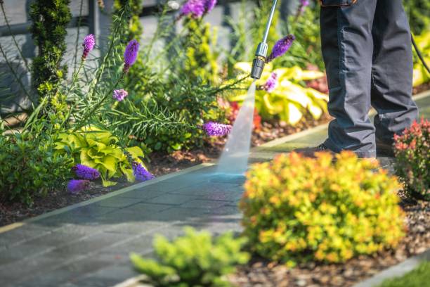 Best Pool Deck Cleaning  in Youngsville, LA